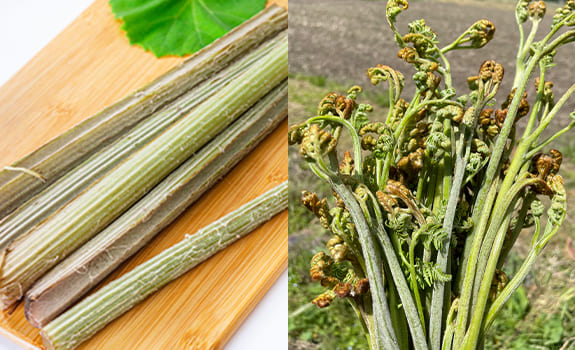自然栽培(無農薬)の山菜