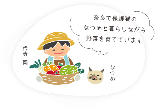 奈良で保護猫のなつめと暮らしながら野菜を育てています。